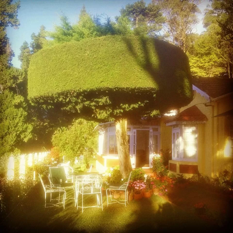 Photo of Ooty, Tamil Nadu, India by Abhinav Sharma