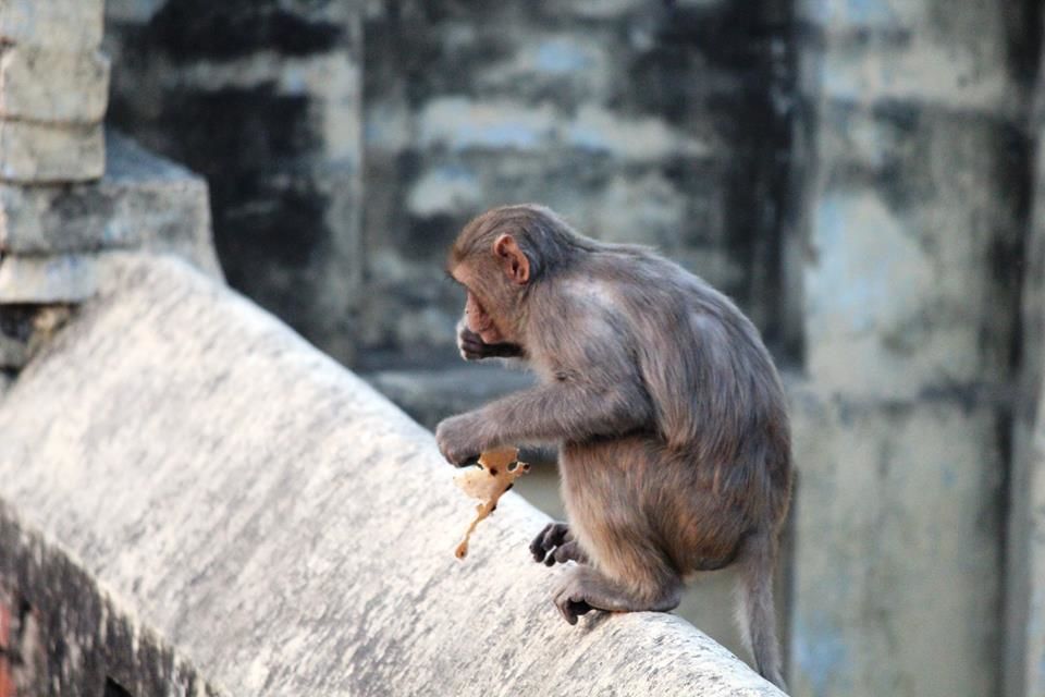 Photo of 10 best things to do at Varanasi by Abhinav Sharma
