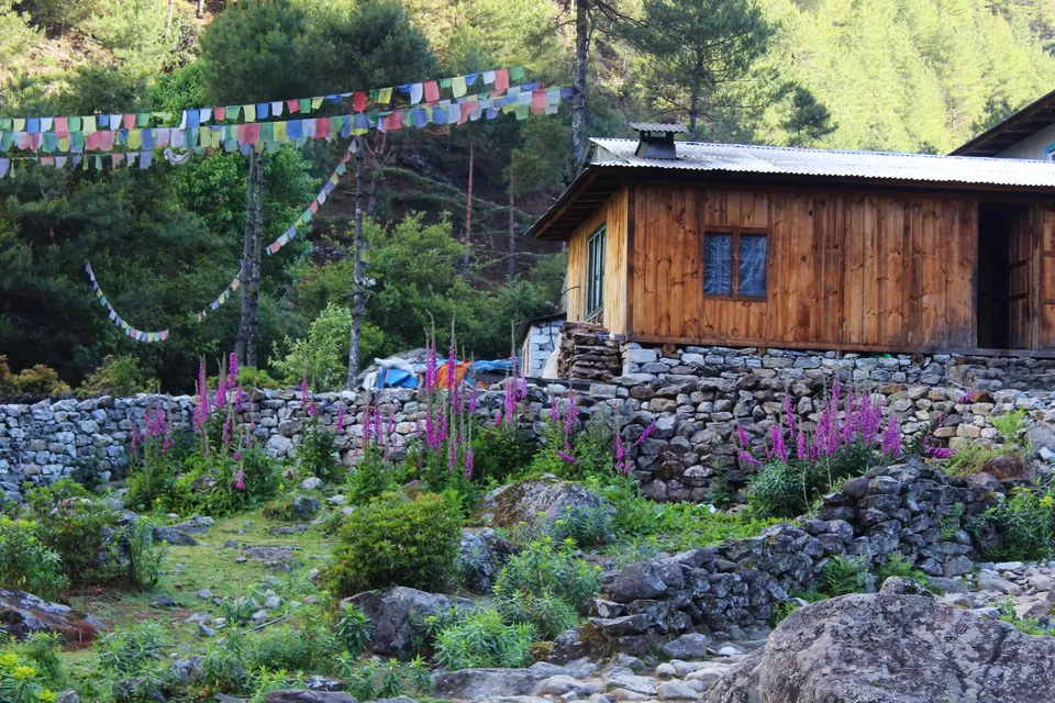 Photo of Phakding, Eastern Region, Nepal by Abhinav Sharma