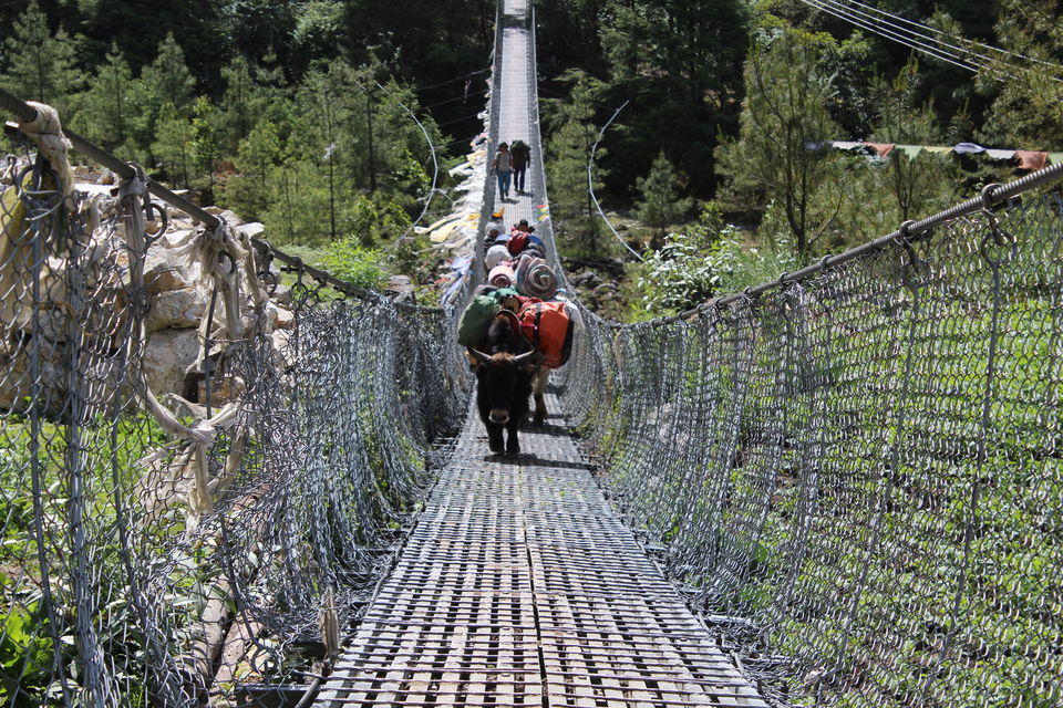 Photo of Namche Bazar, Namche, Eastern Region, Nepal by Abhinav Sharma