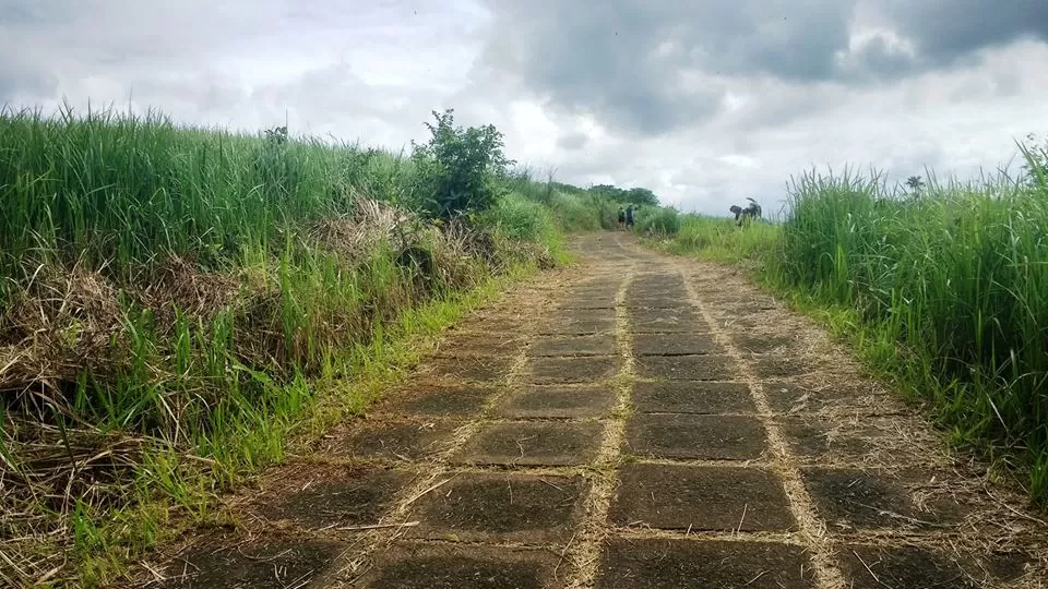 Photo of Campuhan Ridge Walk, Kelusa, Gianyar, Bali, Indonesia by Abhinav Sharma