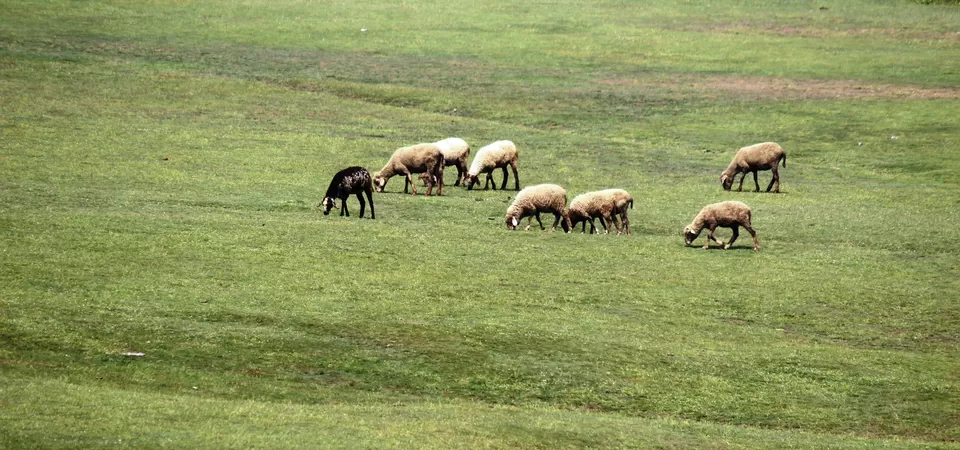 Photo of Khajjiar, Himachal Pradesh, India by Abhinav Sharma