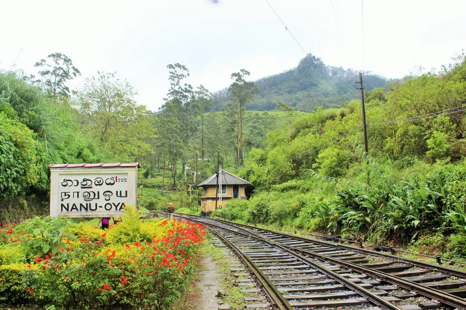 Photo of Nanu Oya, Sri Lanka by Abhinav Sharma