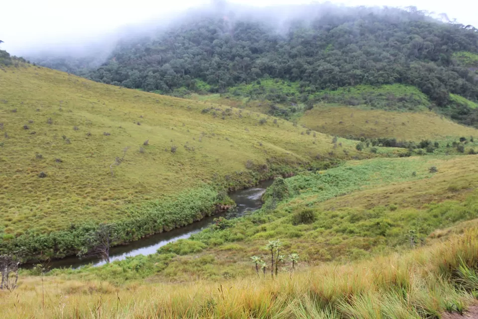 Photo of Horton Plains National Park, Sri Lanka by Abhinav Sharma