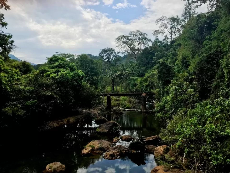 Photo of Agumbe, Karnataka, India by Abhinav Sharma