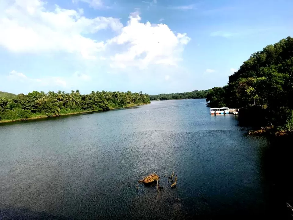 Photo of Suvarna River Bank, Udupi, Karnataka, India by Abhinav Sharma