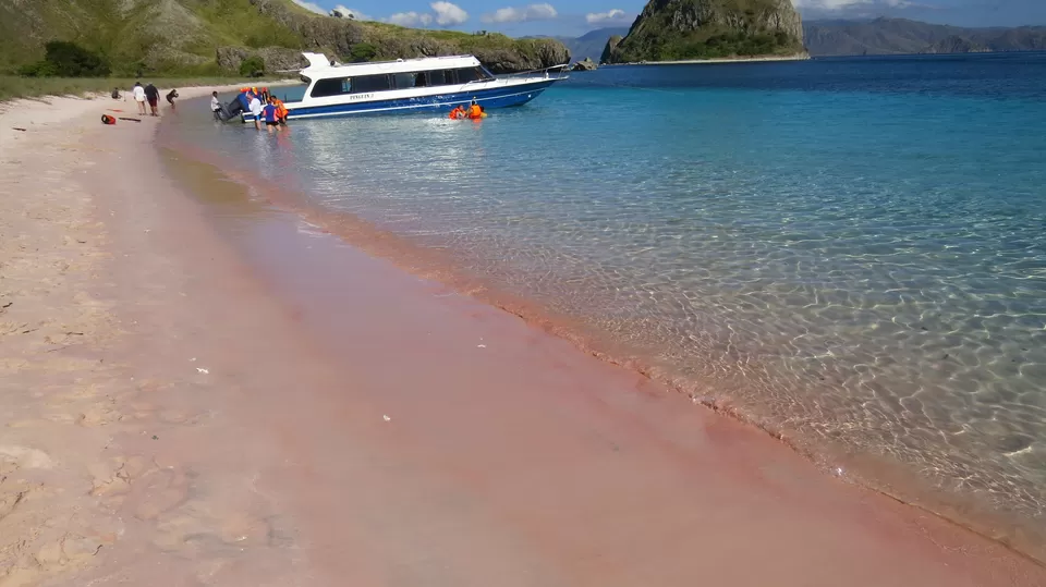 Photo of Pink Beach, Komodo, West Manggarai Regency, East Nusa Tenggara, Indonesia by Amrita Banerjee