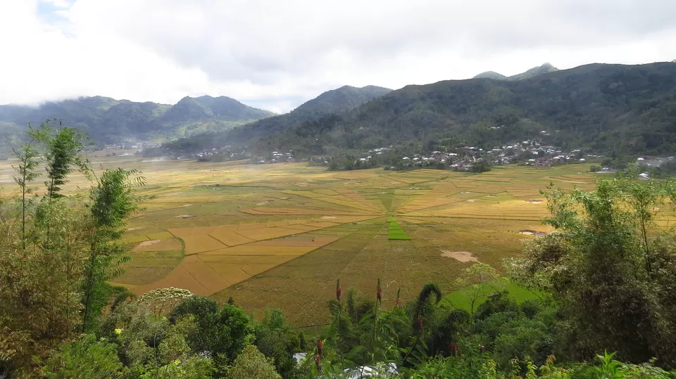 Photo of Spider Web Rice Field, Meler, Manggarai Regency, East Nusa Tenggara, Indonesia by Amrita Banerjee