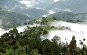 Photo of Trip to Lansdowne: An Unexplored Place In Uttarakhand 2/7 by Mayank sharma