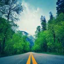 Photo of Best Weekend Road Trips From Delhi 1/34 by Mayank sharma