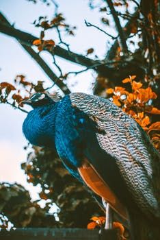 Photo of Best Weekend Road Trips From Delhi 22/34 by Mayank sharma