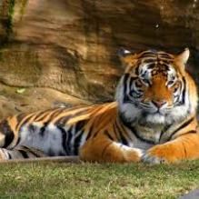 Photo of Best Weekend Road Trips From Delhi 25/34 by Mayank sharma