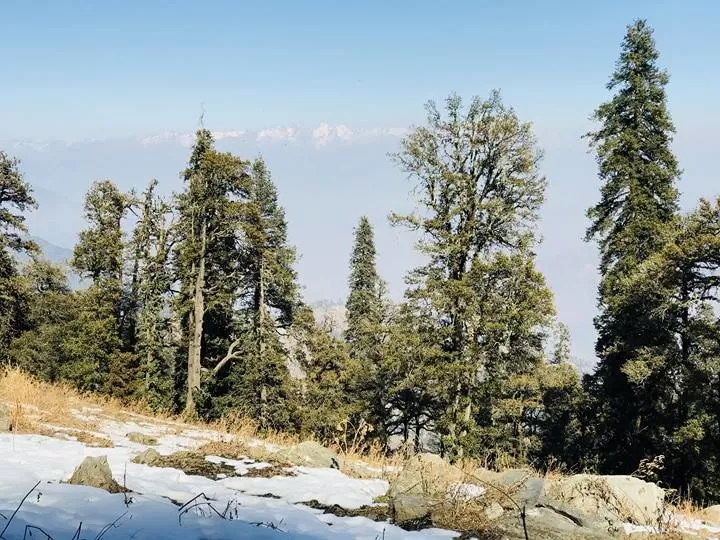 Photo of Narkanda Peak, Narkand, Himachal Pradesh, India by Siddharth Gupta