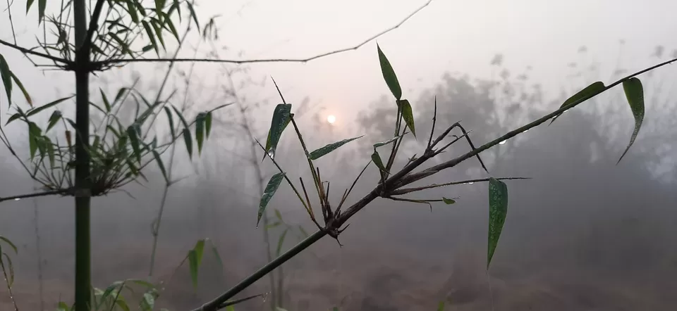 Photo of Kankavli by Pravin Panchal