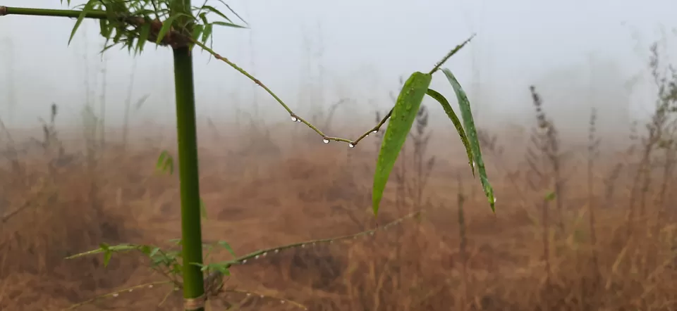 Photo of Kankavli by Pravin Panchal