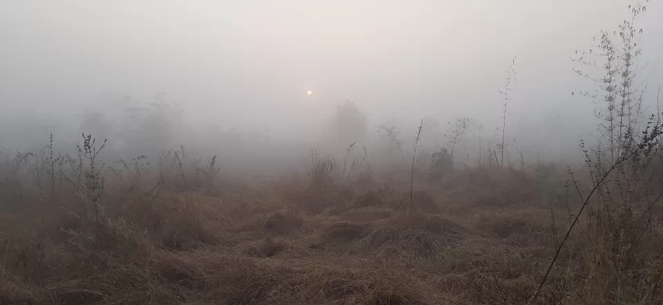 Photo of Kankavli by Pravin Panchal