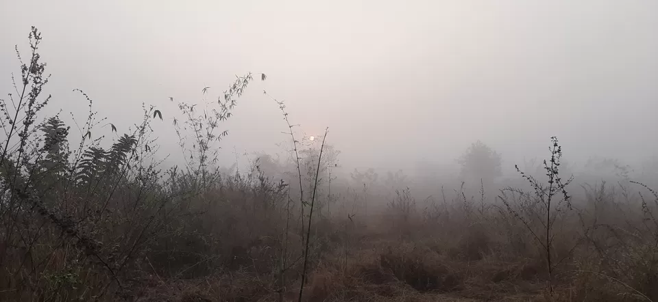 Photo of Kankavli by Pravin Panchal