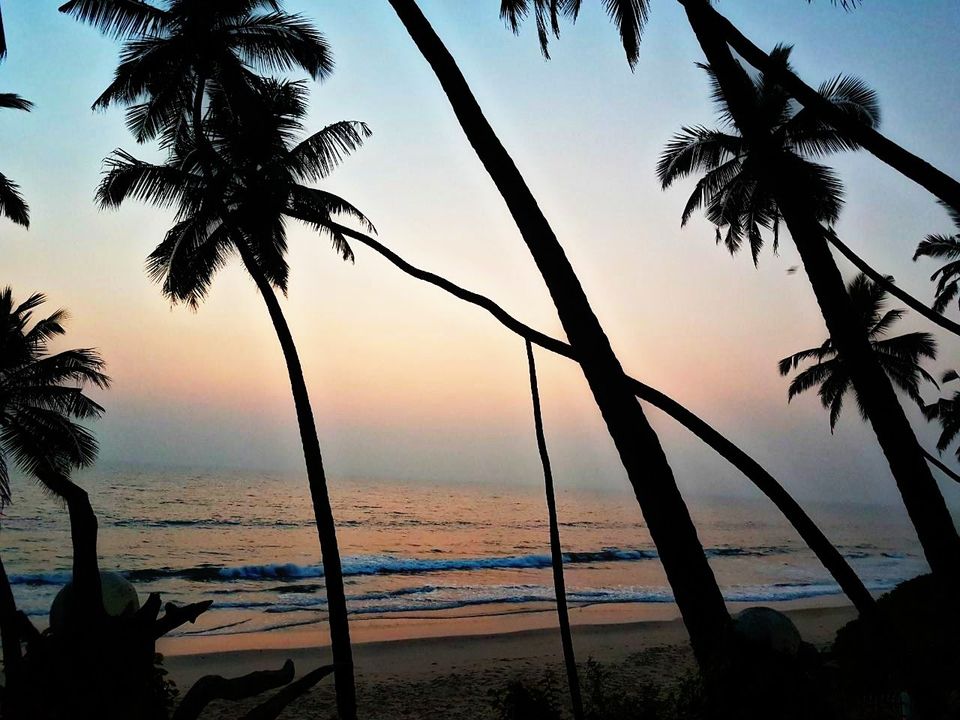 Photo of Shooting stars to Bioluminescence! This splendid beach house in Kannur had it all! by Shreya Merchant