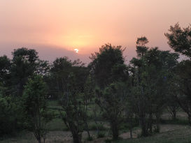 Photo of How can "Not" Planning take you to great heights of BIR. (LITERALLY !) by Rishabh Kathuria