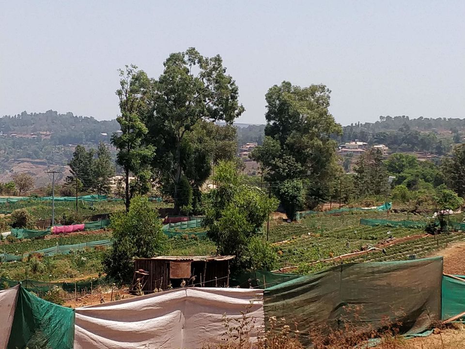 Photo of Mapro Garden, Mahabaleswar, Maharashtra, India by Rishabh Kathuria