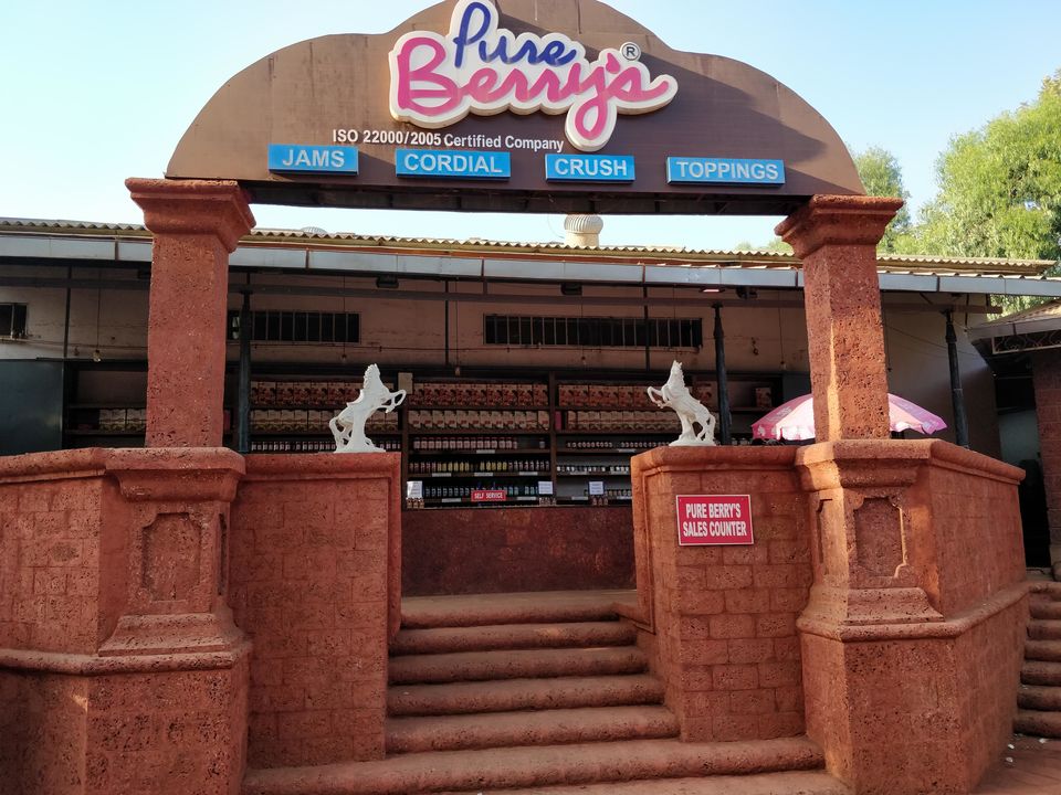 Photo of Things to do in the Land of Strawberries(Mahabaleshwar & Panchgani) #notinnorth by Rishabh Kathuria