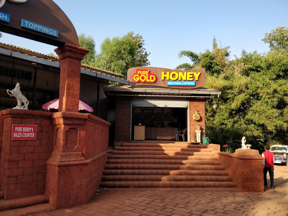 Photo of Things to do in the Land of Strawberries(Mahabaleshwar & Panchgani) #notinnorth by Rishabh Kathuria