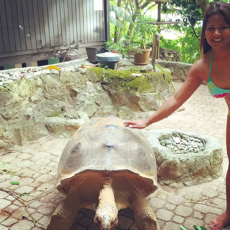 Photo of Ile Moyenne, Ile Moyenne, Seychelles by Suhani Sharma
