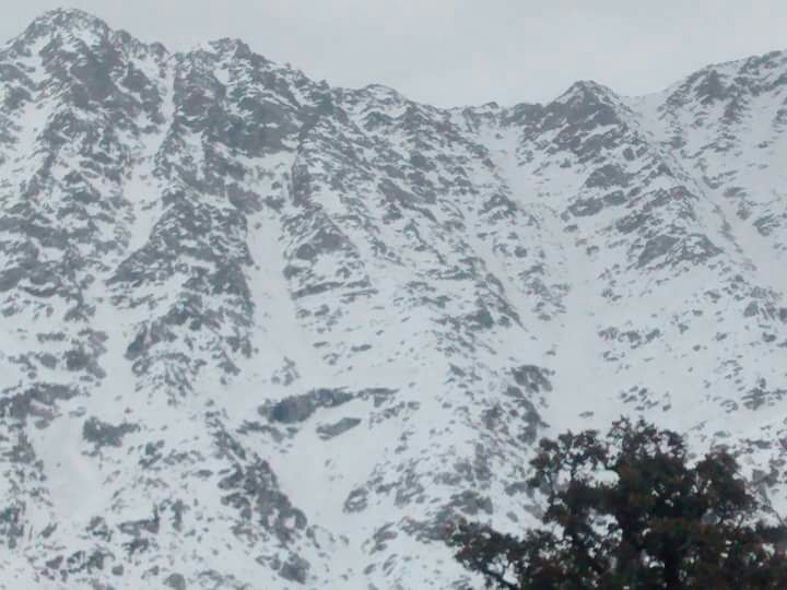 Photo of Triund, Kangra, Himachal Pradesh, India by Shruti Sharma