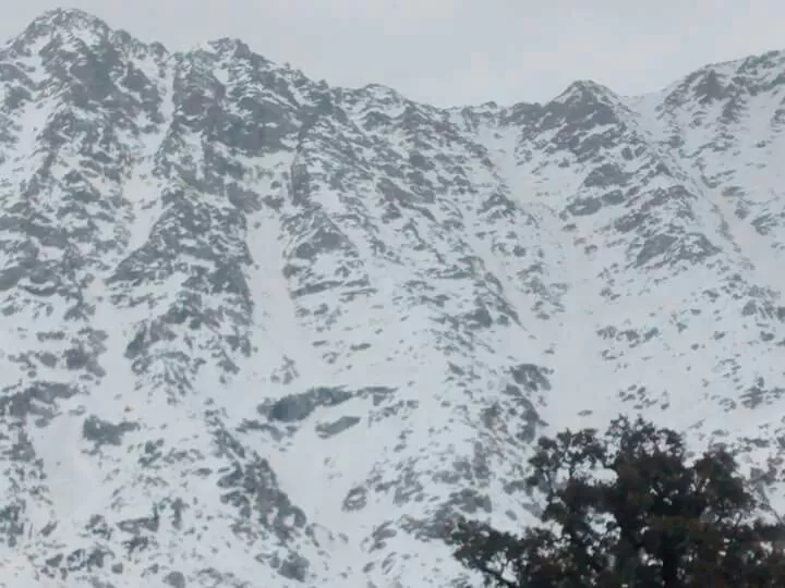 Photo of Triund, Kangra, Himachal Pradesh, India by Shruti Sharma