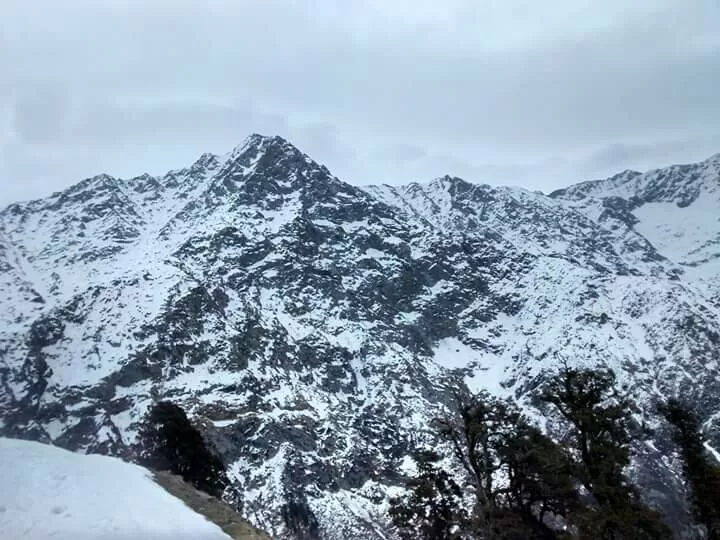 Photo of Triund, Kangra, Himachal Pradesh, India by Shruti Sharma