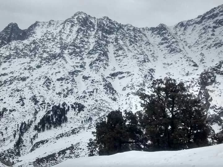 Photo of Triund, Kangra, Himachal Pradesh, India by Shruti Sharma
