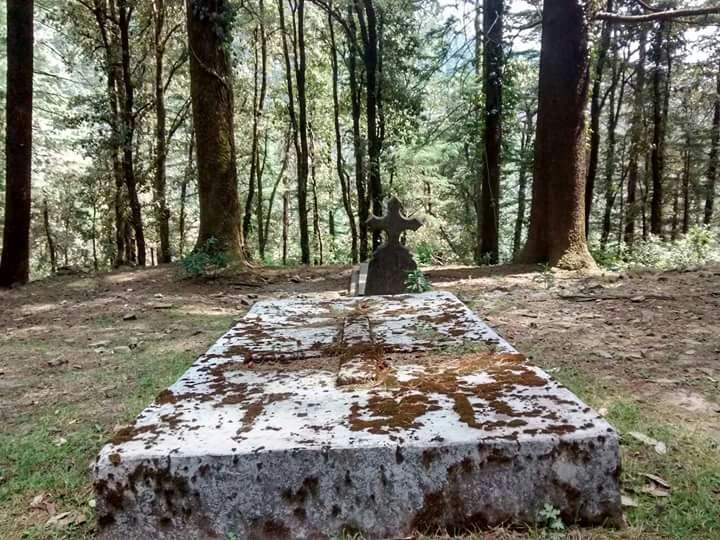 Photo of Triund, Kangra, Himachal Pradesh, India by Shruti Sharma