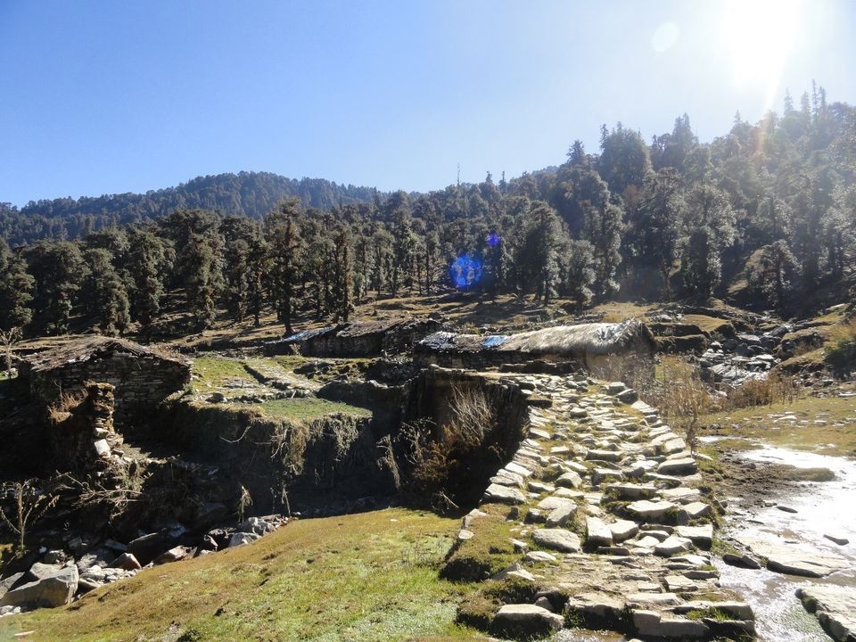 Photo of Chopta - Chandrashila Trek: The Most Scenic Yet Easily Accessible Trek 3/10 by Pranav Chetal
