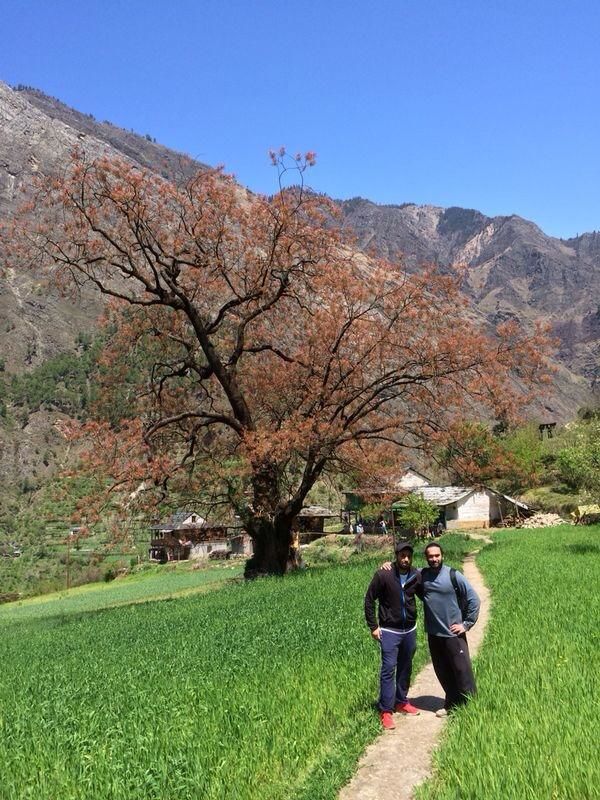 Photo of A Road less travelled, TIRTHAN VALLEY (HIMACHAL PRADESH) 40/40 by Gagandeep Singh