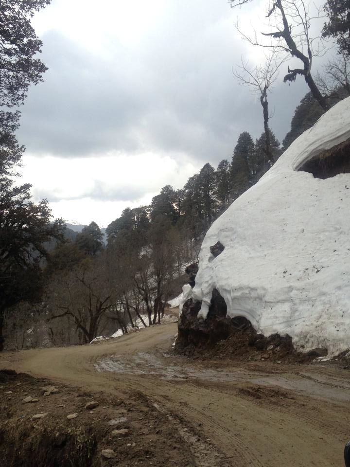 Photo of A Road less travelled, TIRTHAN VALLEY (HIMACHAL PRADESH) 16/40 by Gagandeep Singh