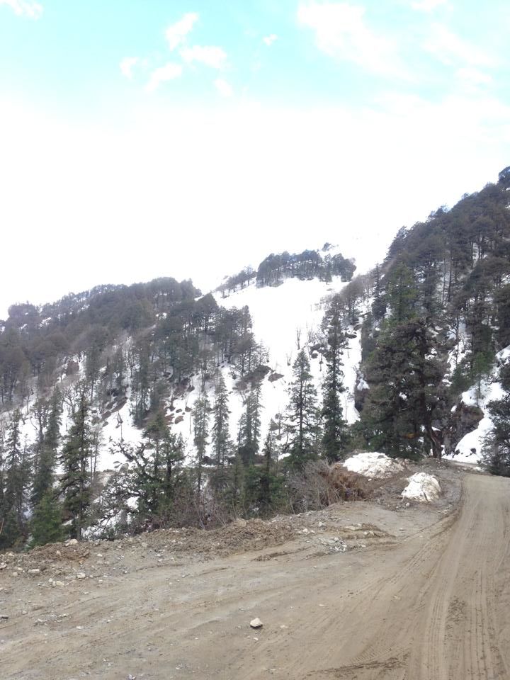 Photo of A Road less travelled, TIRTHAN VALLEY (HIMACHAL PRADESH) 21/40 by Gagandeep Singh