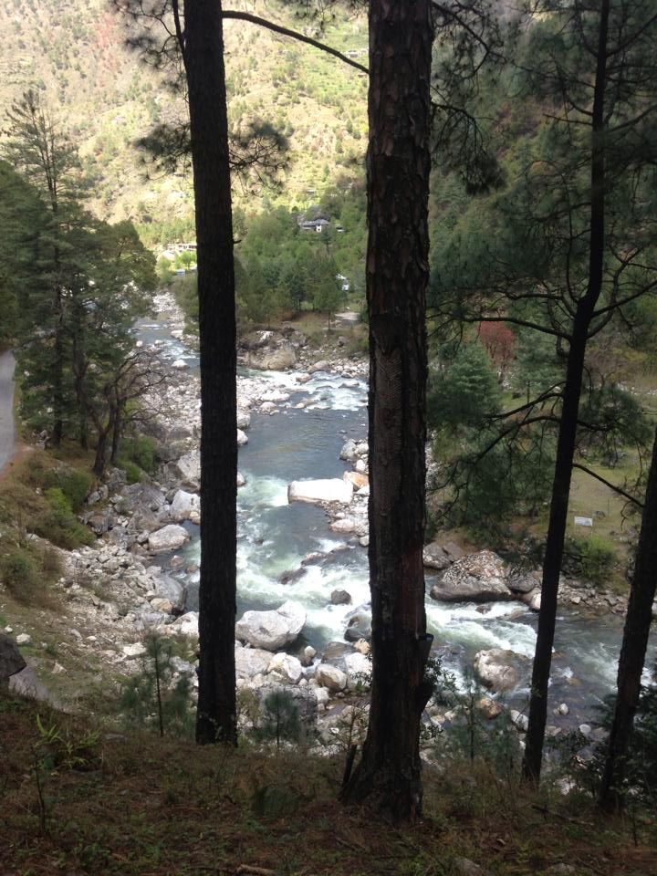 Photo of A Road less travelled, TIRTHAN VALLEY (HIMACHAL PRADESH) 25/40 by Gagandeep Singh