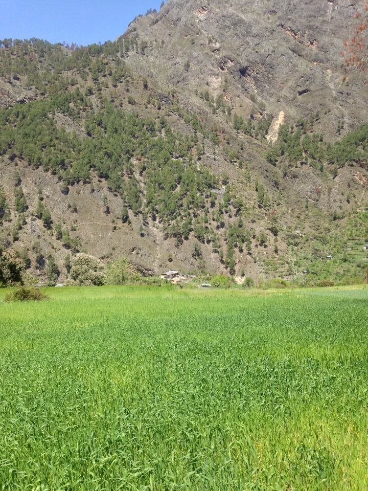 Photo of A Road less travelled, TIRTHAN VALLEY (HIMACHAL PRADESH) 3/40 by Gagandeep Singh