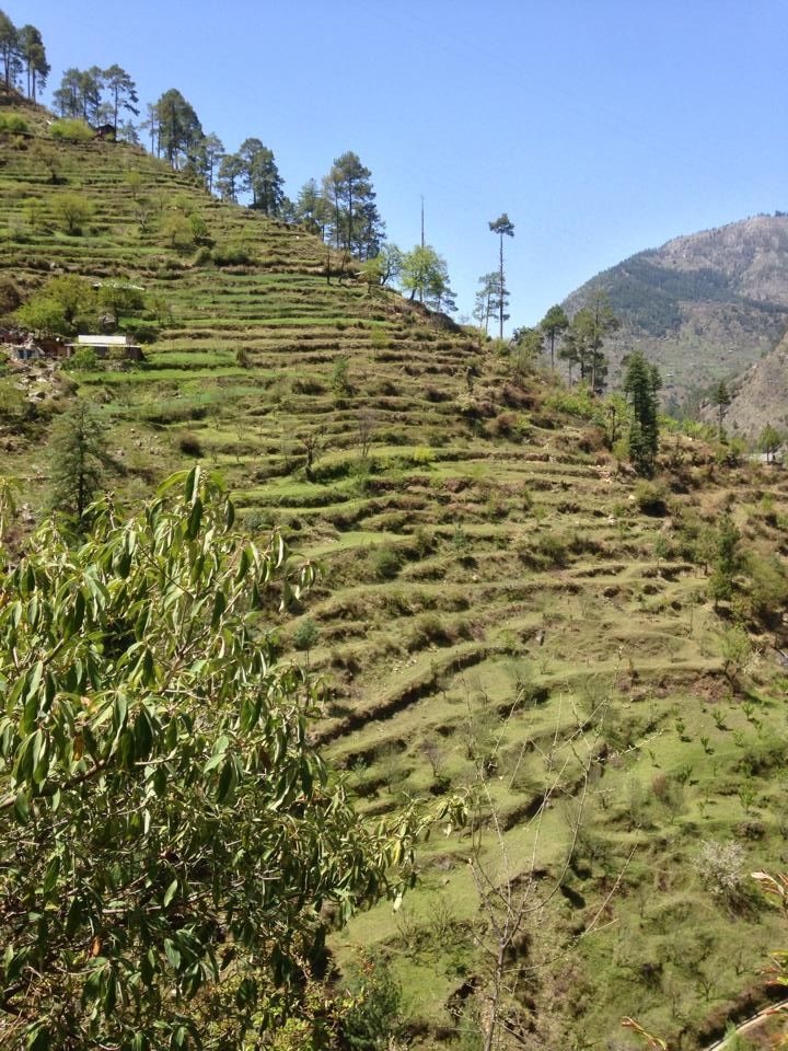 Photo of A Road less travelled, TIRTHAN VALLEY (HIMACHAL PRADESH) 5/40 by Gagandeep Singh