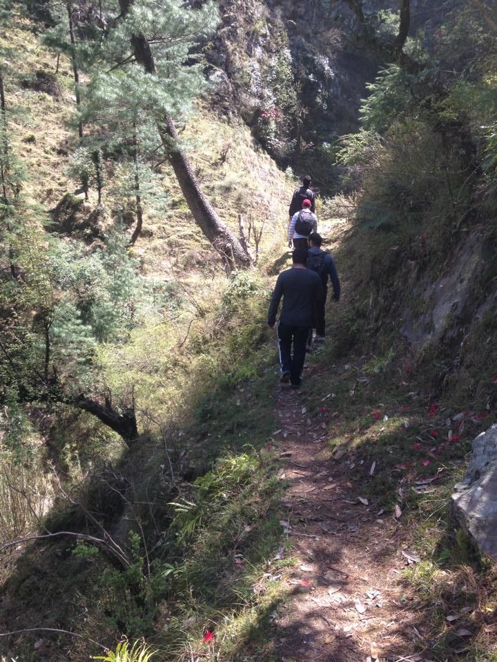 Photo of A Road less travelled, TIRTHAN VALLEY (HIMACHAL PRADESH) 7/40 by Gagandeep Singh