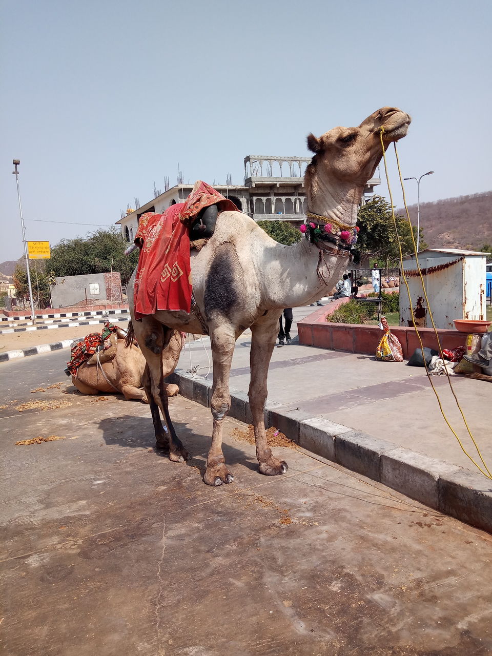 Photo of Is it still HOT in Jaipur during FEBRUARY?? 9/9 by PjRup S Kropi