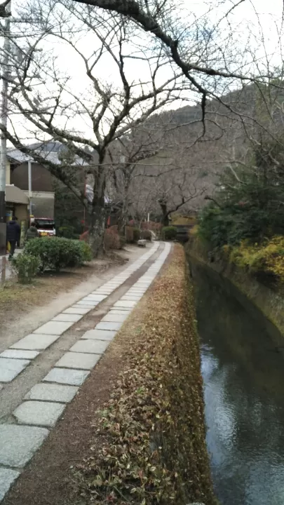 Photo of More About Visiting Japan Over the New Year by Dianne Goh