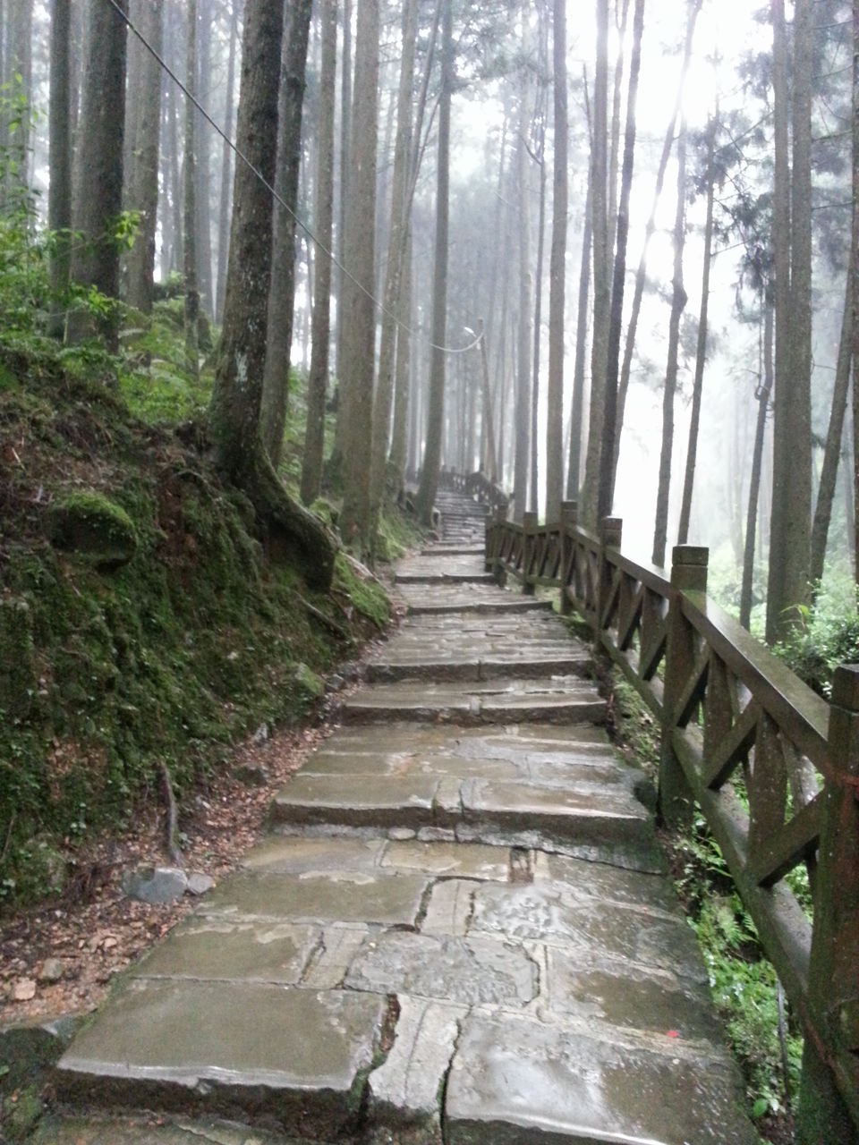 Photo of Alishan Township, Taiwan by Dianne Goh