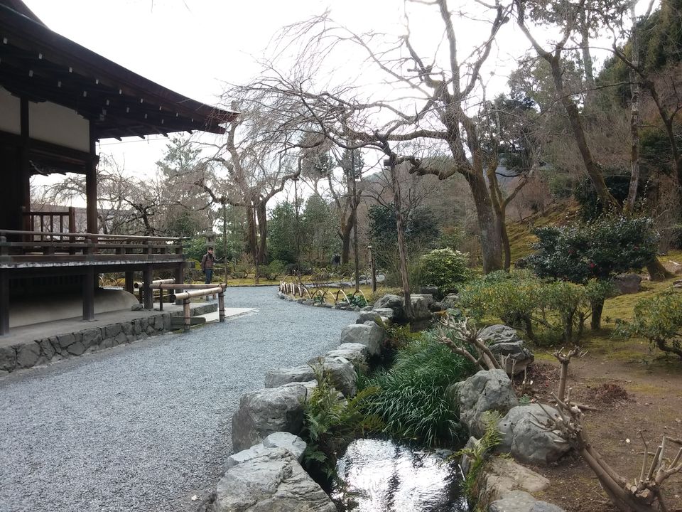 Photo of Tenryū-ji Temple, Kyoto, Kyoto Prefecture, Japan by Dianne Goh
