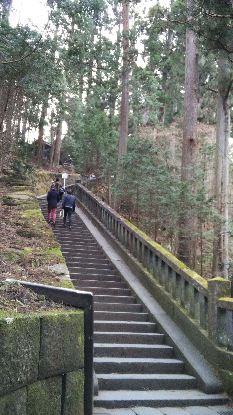 Photo of More About Visiting Japan Over the New Year by Dianne Goh