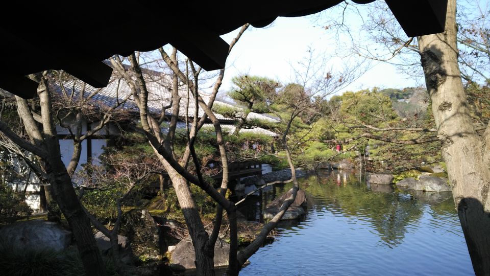Photo of More About Visiting Japan Over the New Year by Dianne Goh
