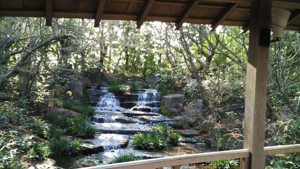 Photo of More About Visiting Japan Over the New Year by Dianne Goh