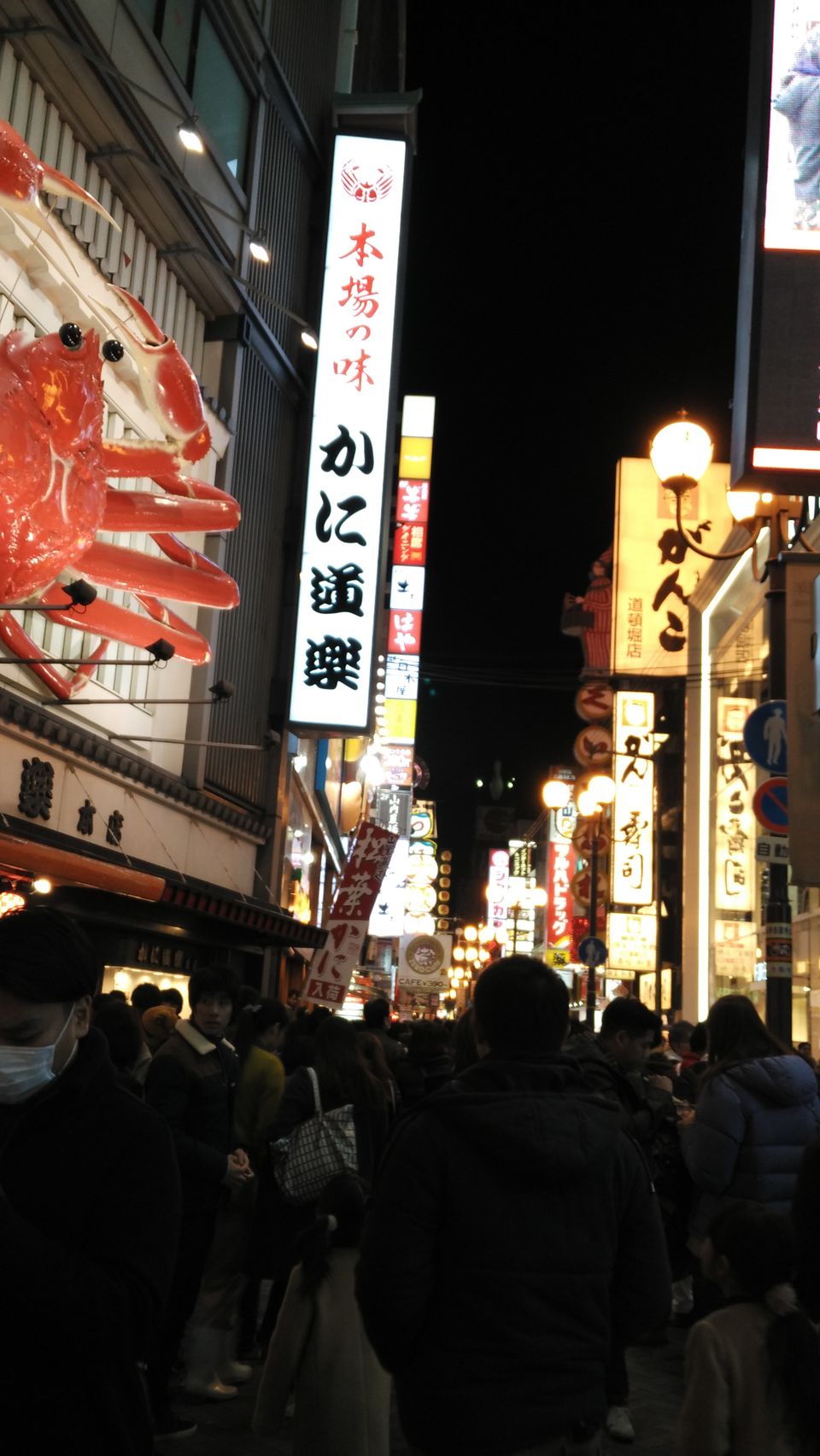 Photo of More About Visiting Japan Over the New Year by Dianne Goh