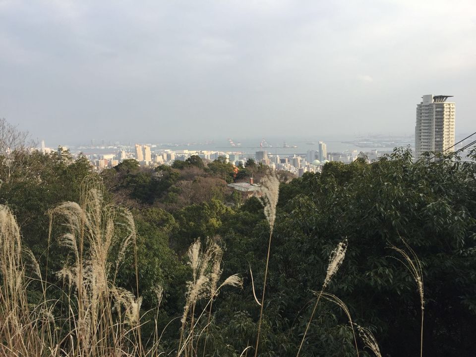 Photo of More About Visiting Japan Over the New Year by Dianne Goh