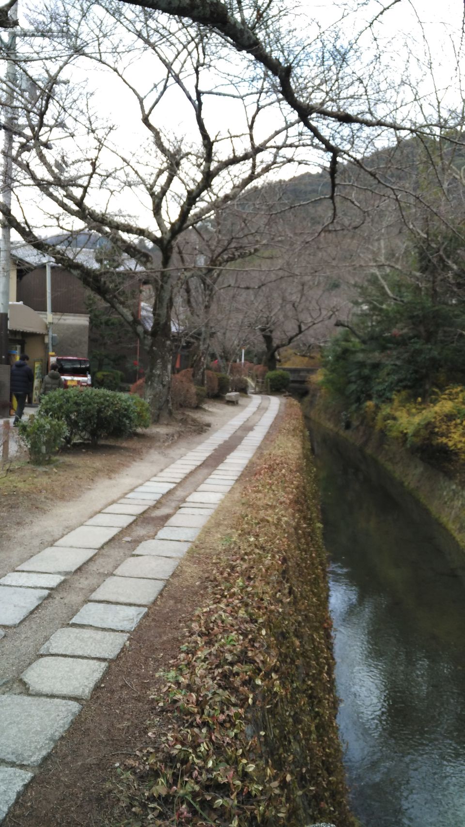Photo of More About Visiting Japan Over the New Year by Dianne Goh